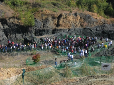 A community dig day at the fossil park.