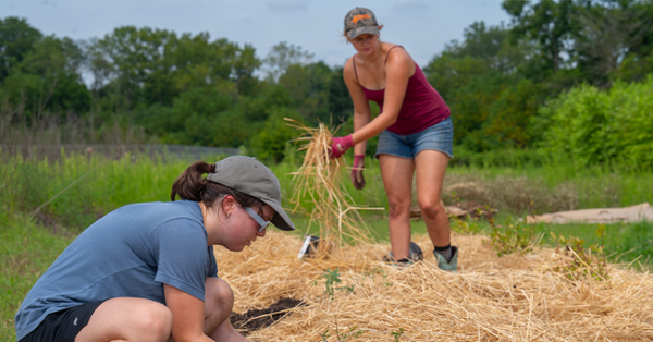 Two students at Rowan University's regenerative farm spread layers of straw over a planting bed to naturally suppress weeds and retain soil moisture.