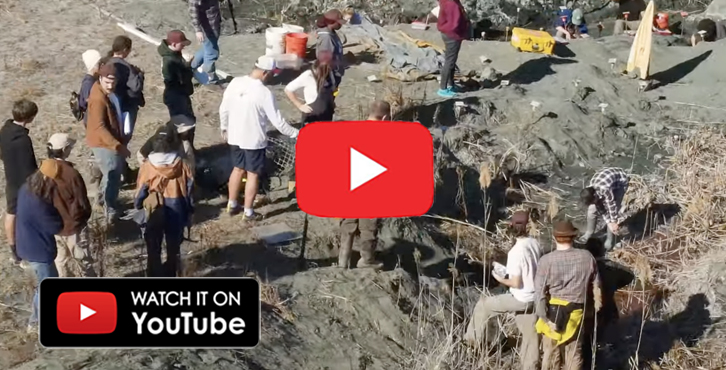 My Favorite Class | Edelman Fossil Park Experience