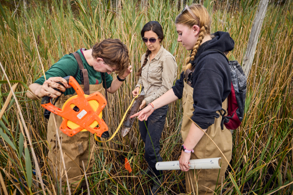 Students measuring the length of tall grass