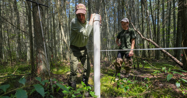 Professor Charles Schutte