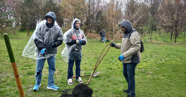 Meenar, on right, works with students, faculty and residents to plant trees in Camden’s Liney Ditch Park in collaboration with the N.J. Tree Foundation.