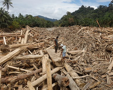 Many logs became forces of destruction in Indonesia last week, in a sign that deforestation compounded the devastation wrought by a cyclone.